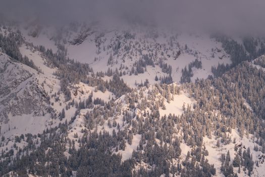 Elegante Berge & Frühling – Naturmotiv als Hintergrundbild