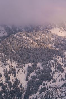 Bezaubernde Naturszene mit Berge & Sonnenuntergang (von Alex Moliski, 6336×9504, #31204788)