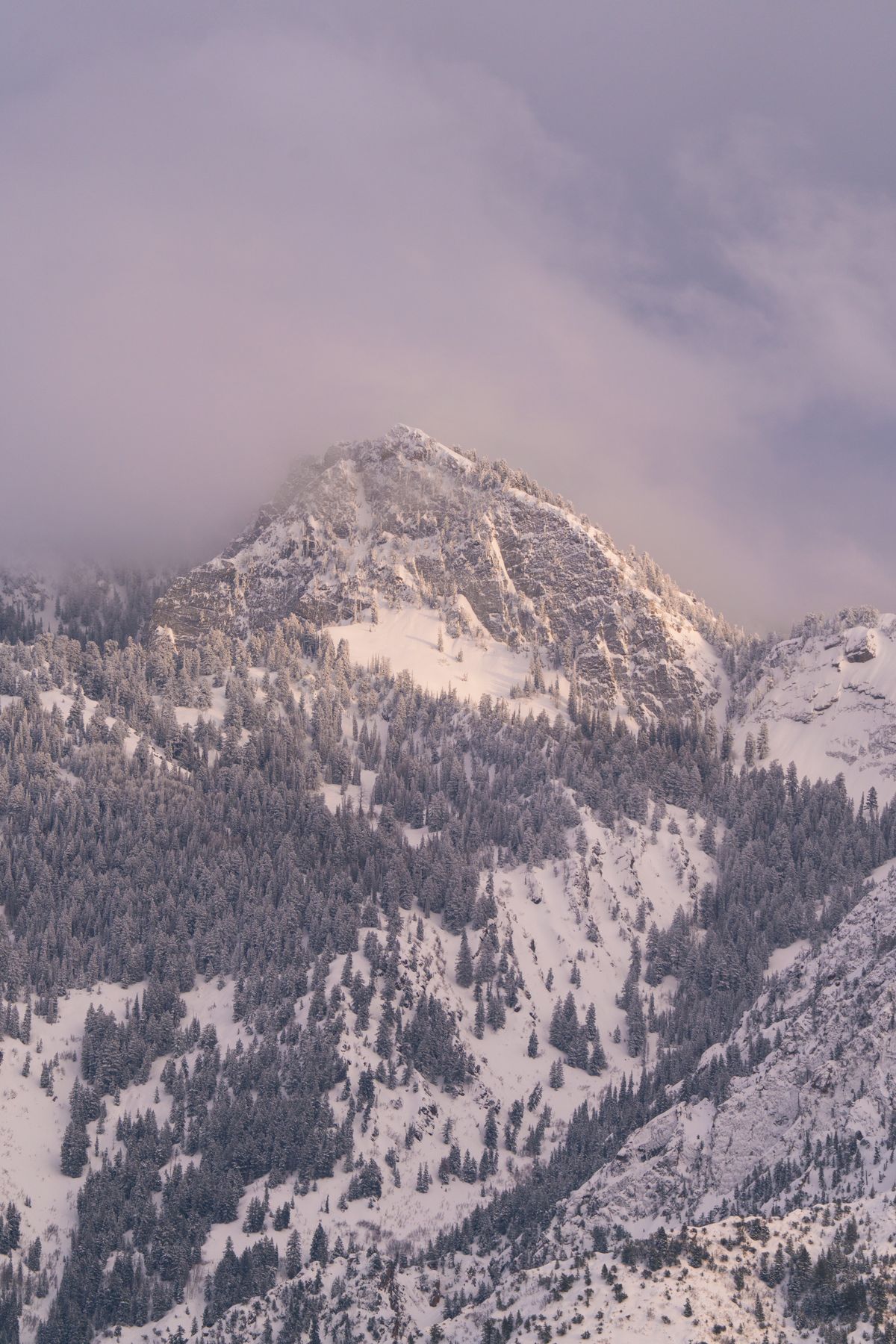 Snowy Wasatch peak with evergreens