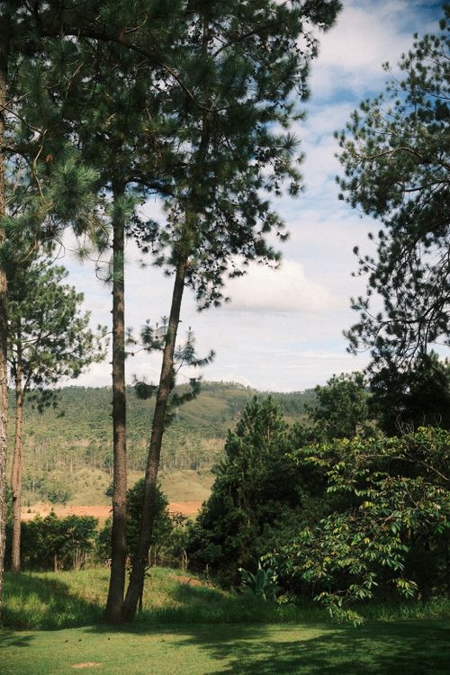 Free Tranquil outdoor scene featuring lush greenery, trees, and distant hills under a partly cloudy sky. Stock Photo