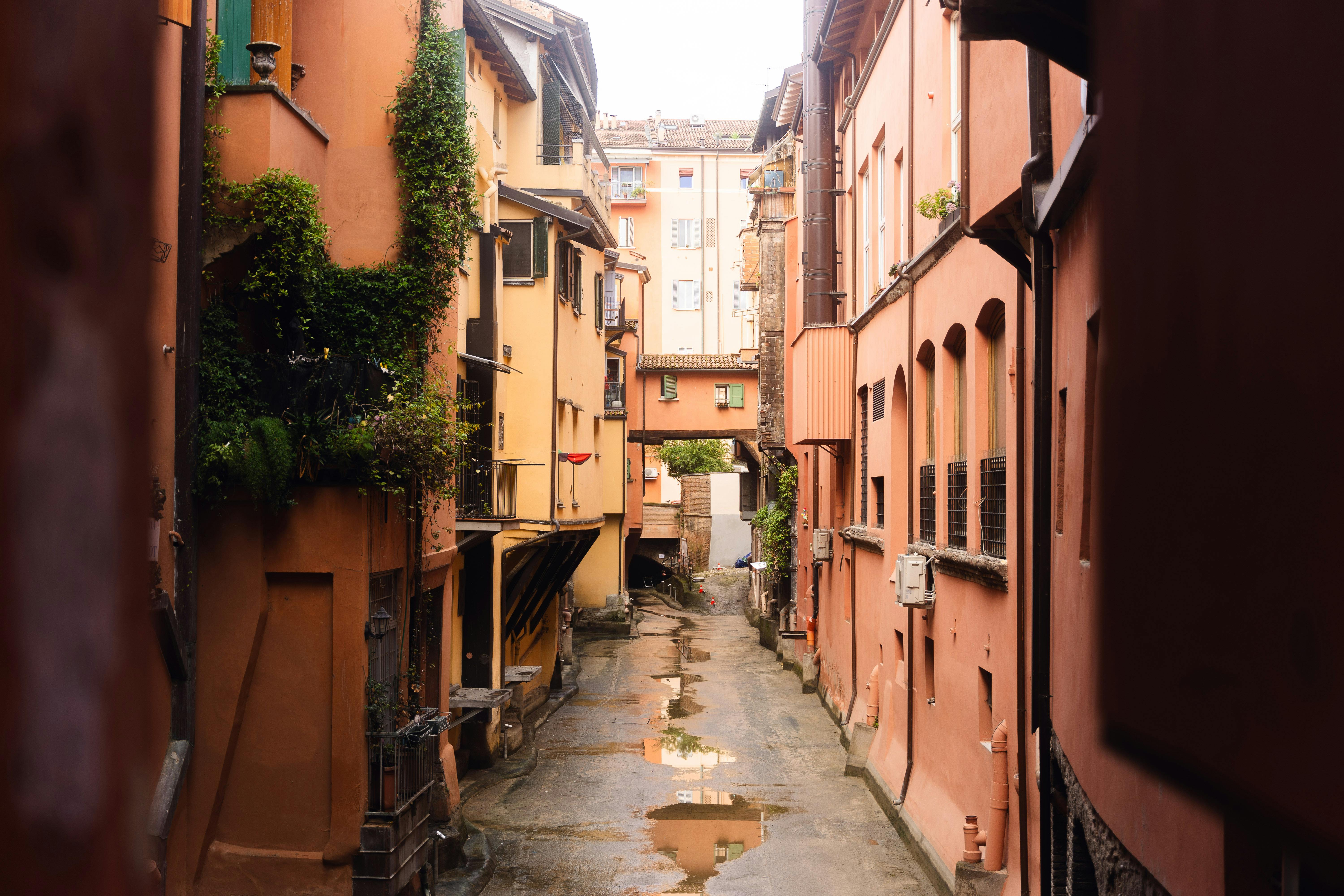 Bologna