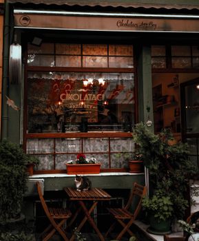 A cozy café exterior with a cat on a table, surrounded by lush plants.