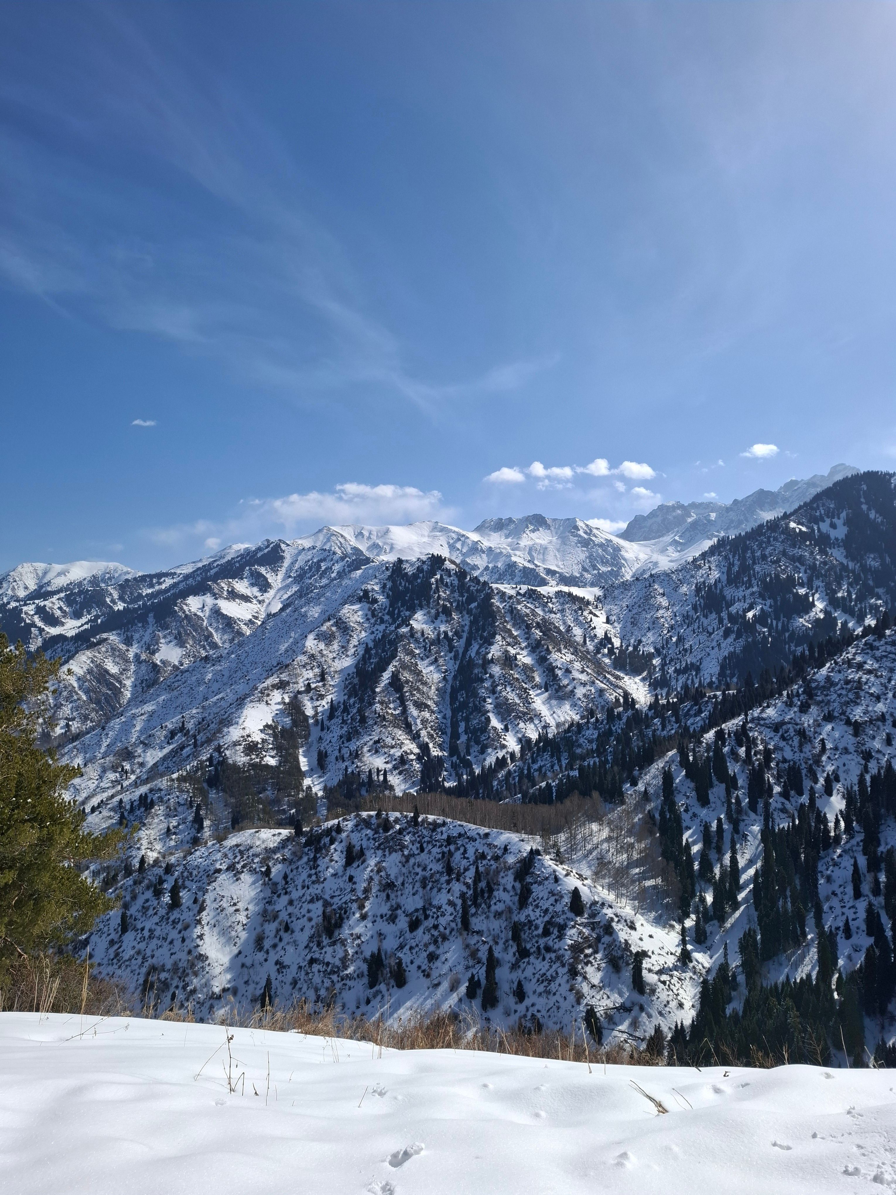 Gray Rocks in Front of Mountain · Free Stock Photo