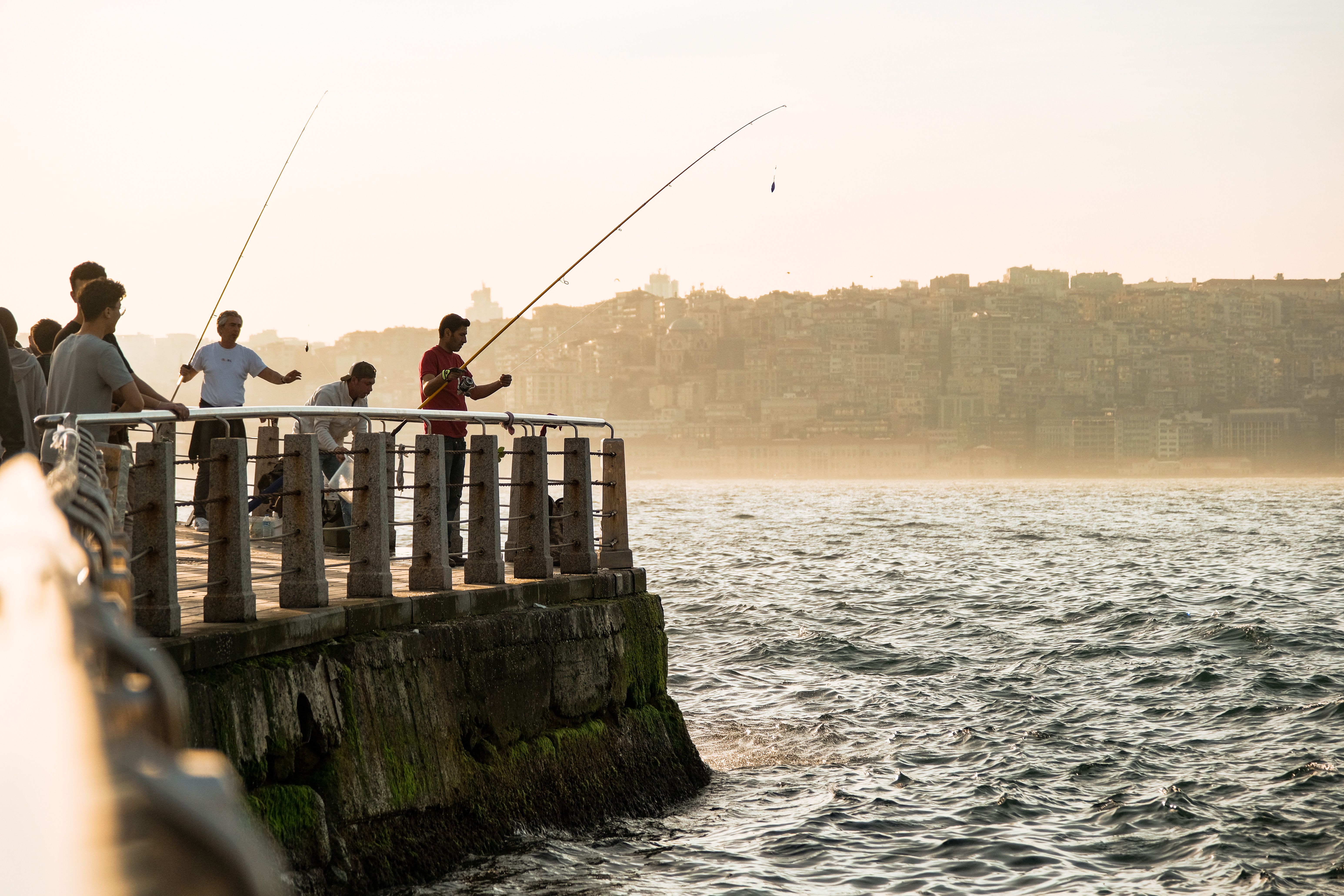 Tackle Selection: Matching Your Gear to the Fish You're After