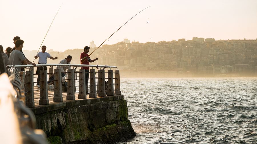 Tackle Selection: Matching Your Gear to the Fish You're After