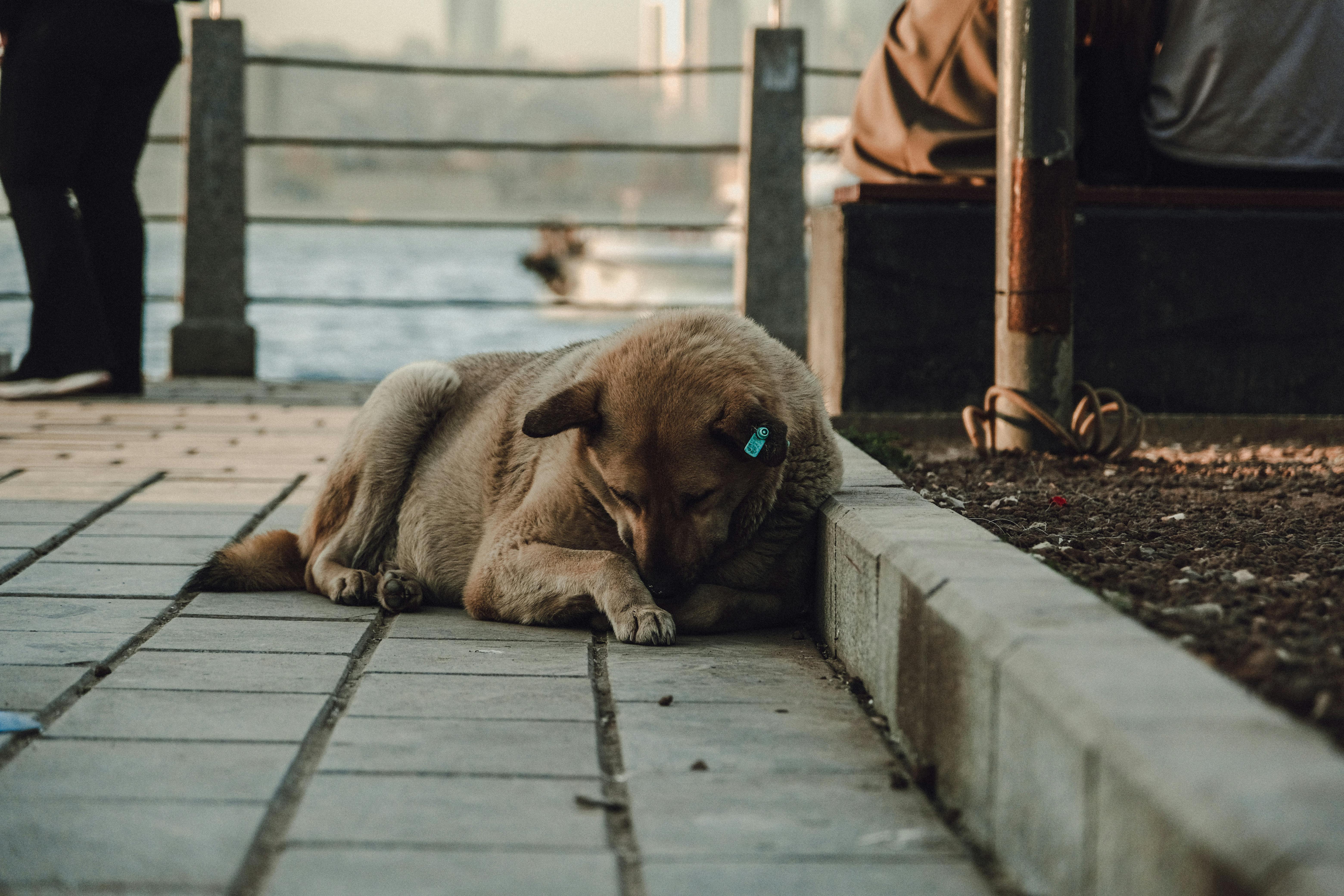 항염 효과 높이는 수면 환경 만들기 2