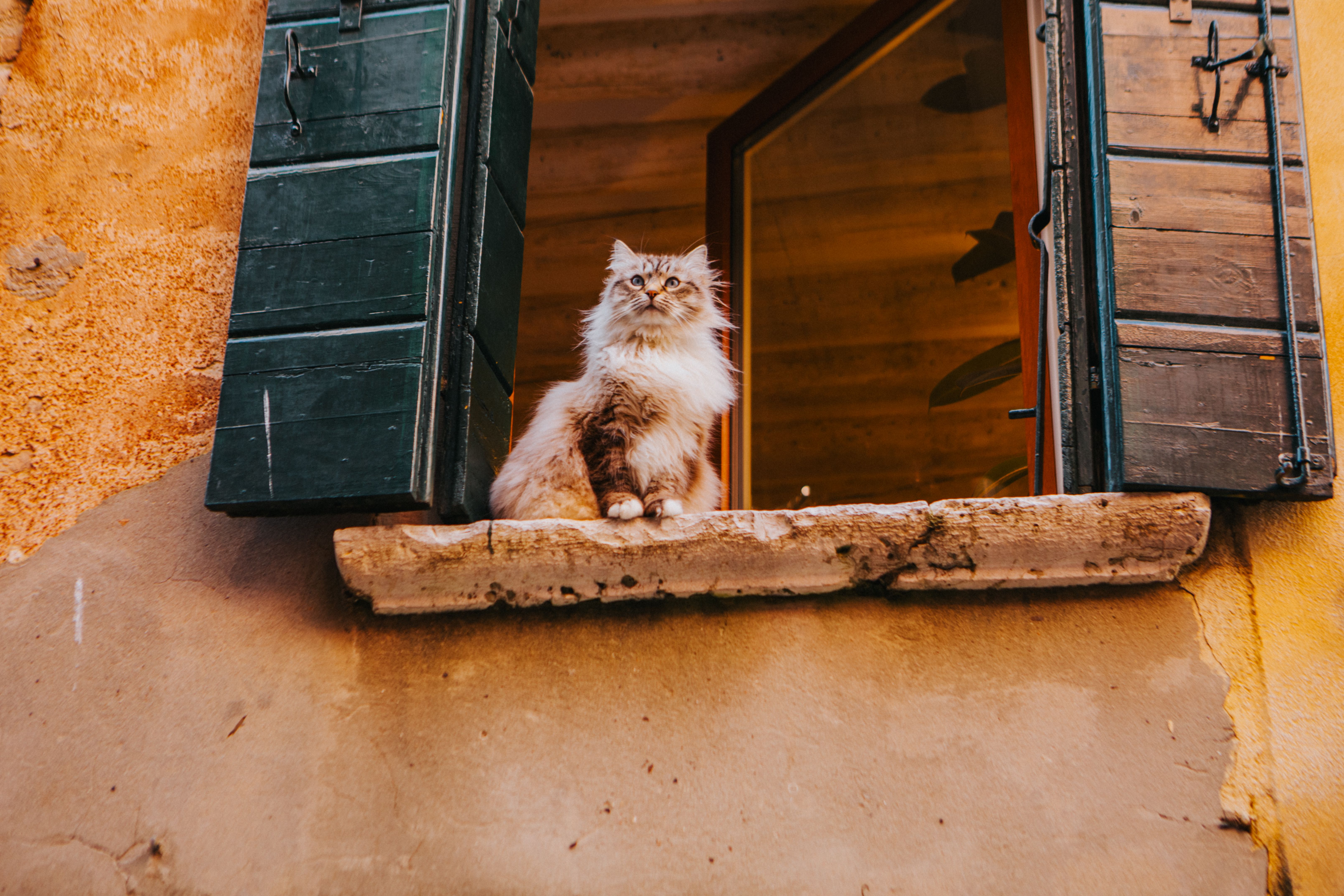 Ancient Palaces, a Cat Café, and KPop Demon Hunters—the Perfect Family Travel Itinerary for South Korea — Photo by Helena Jan