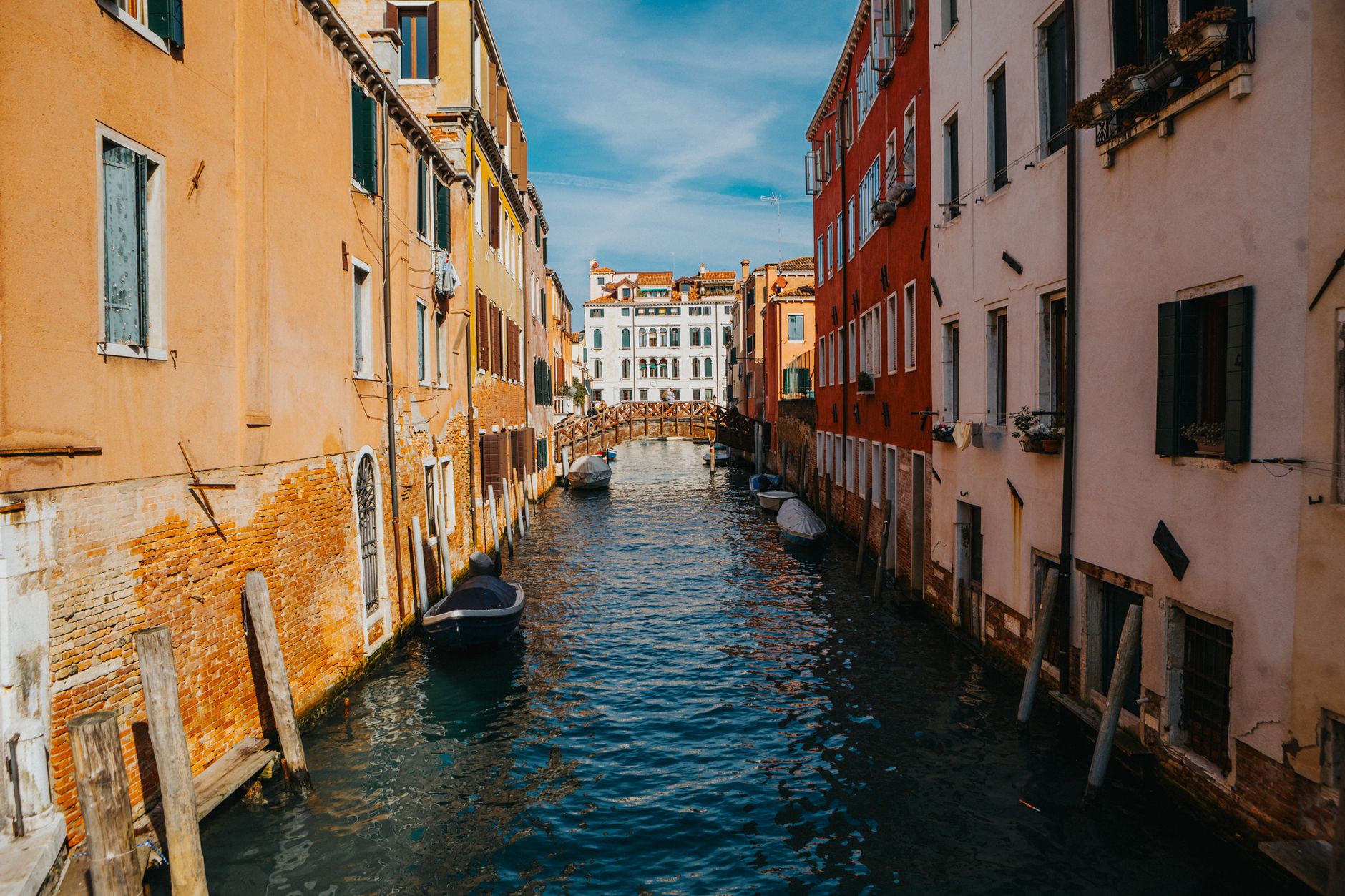 The Venice Biennale’s international jury resigned over Russia participation and prize rules