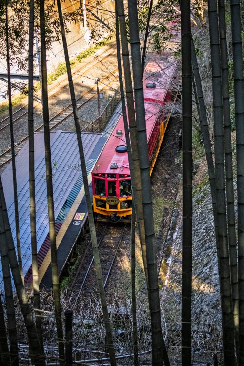 Free Sagano Romantic Train passing through lush bamboo groves in Kyoto. Explore scenic beauty and travel experiences. Stock Photo
