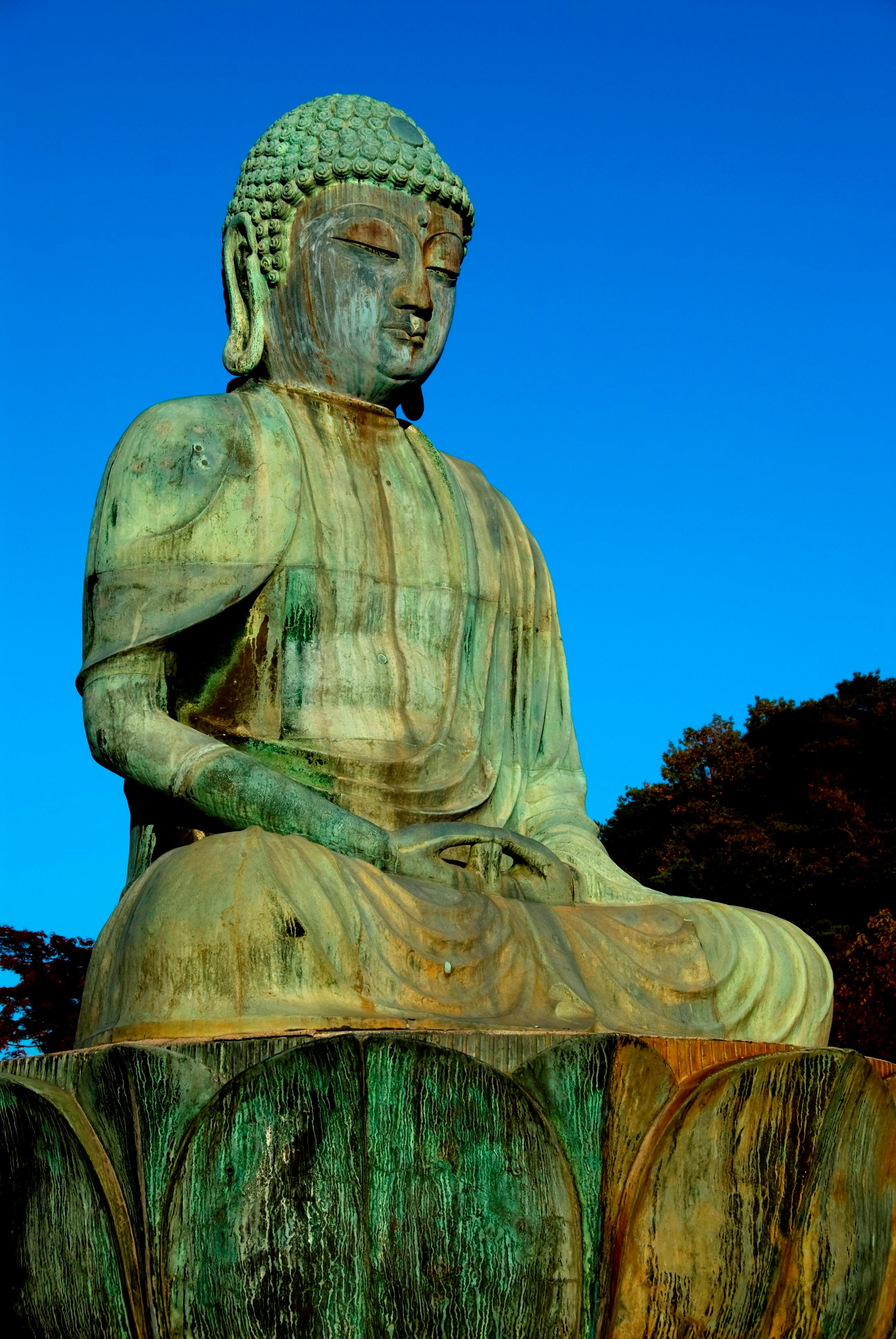 pexels-photo-31206998.jpeg?cs=