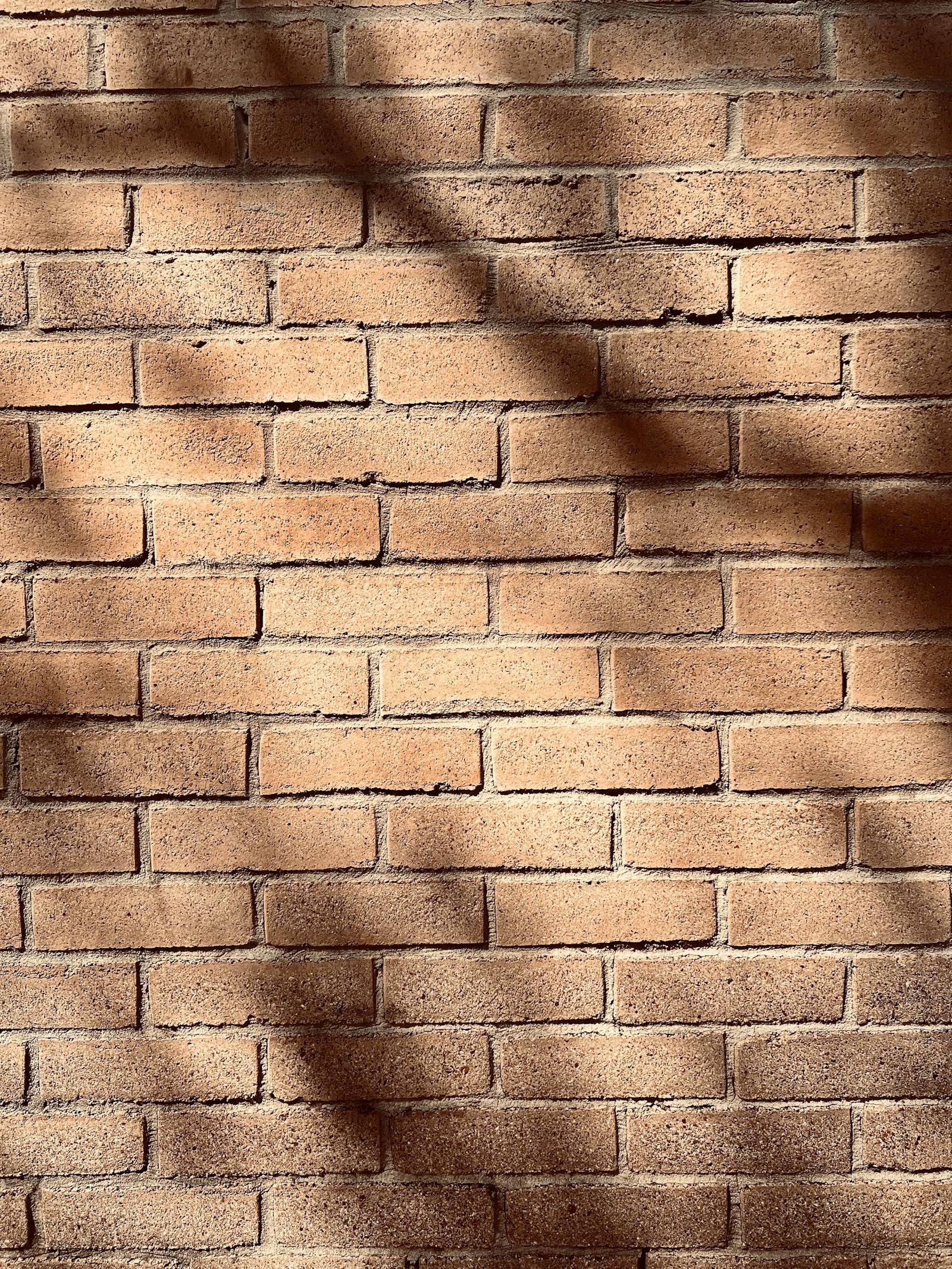 Wall Design Photos Download The BEST Free Wall Design Stock Photos