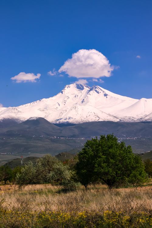 Free Majestic snow-capped mountain with cloud and vibrant greenery in foreground. Stock Photo