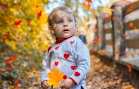 秋天，在充满活力的公园里，一个可爱的蓝眼睛幼儿拿着一片枫叶