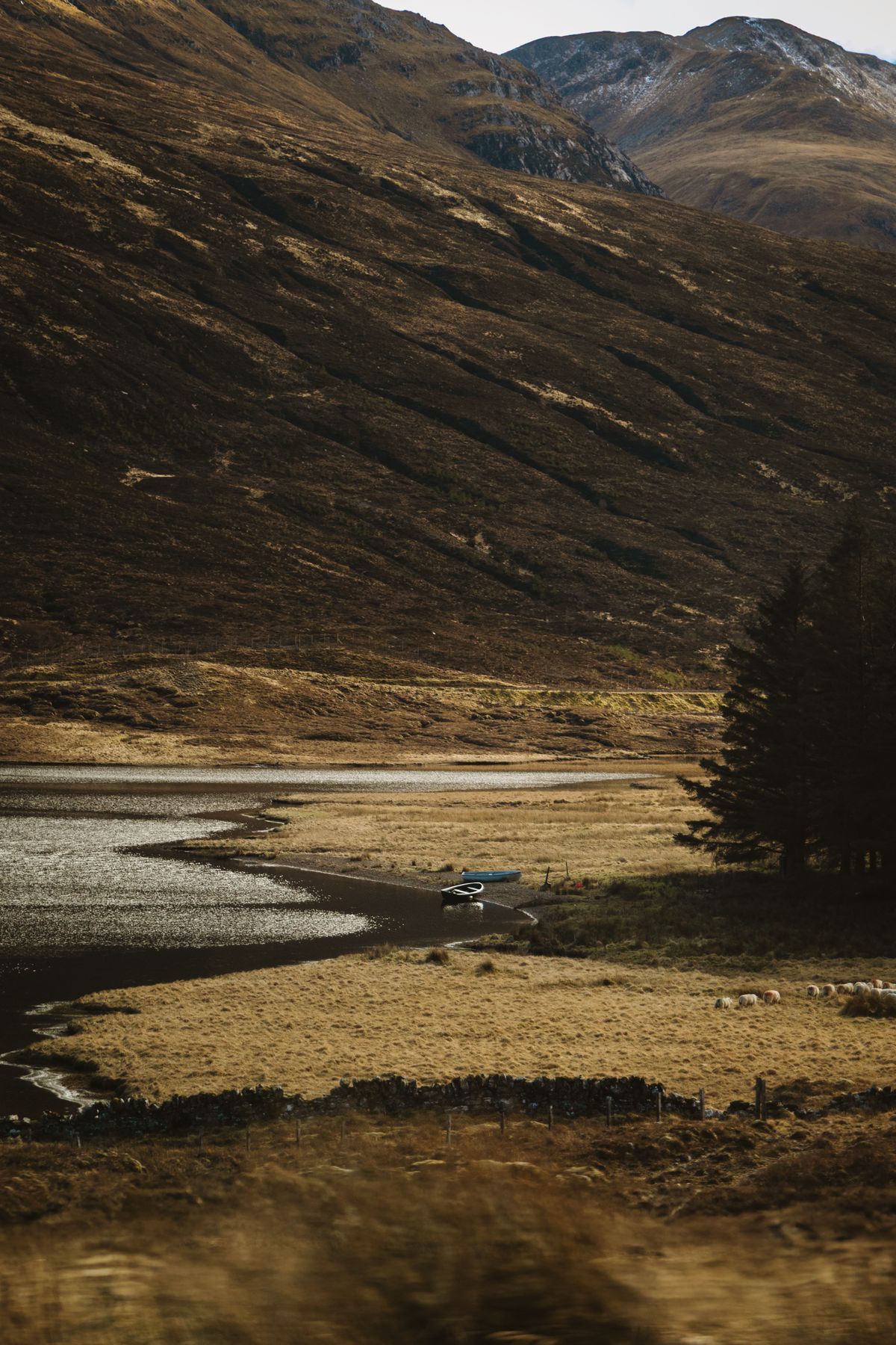 River valley of Caithness near Berriedale