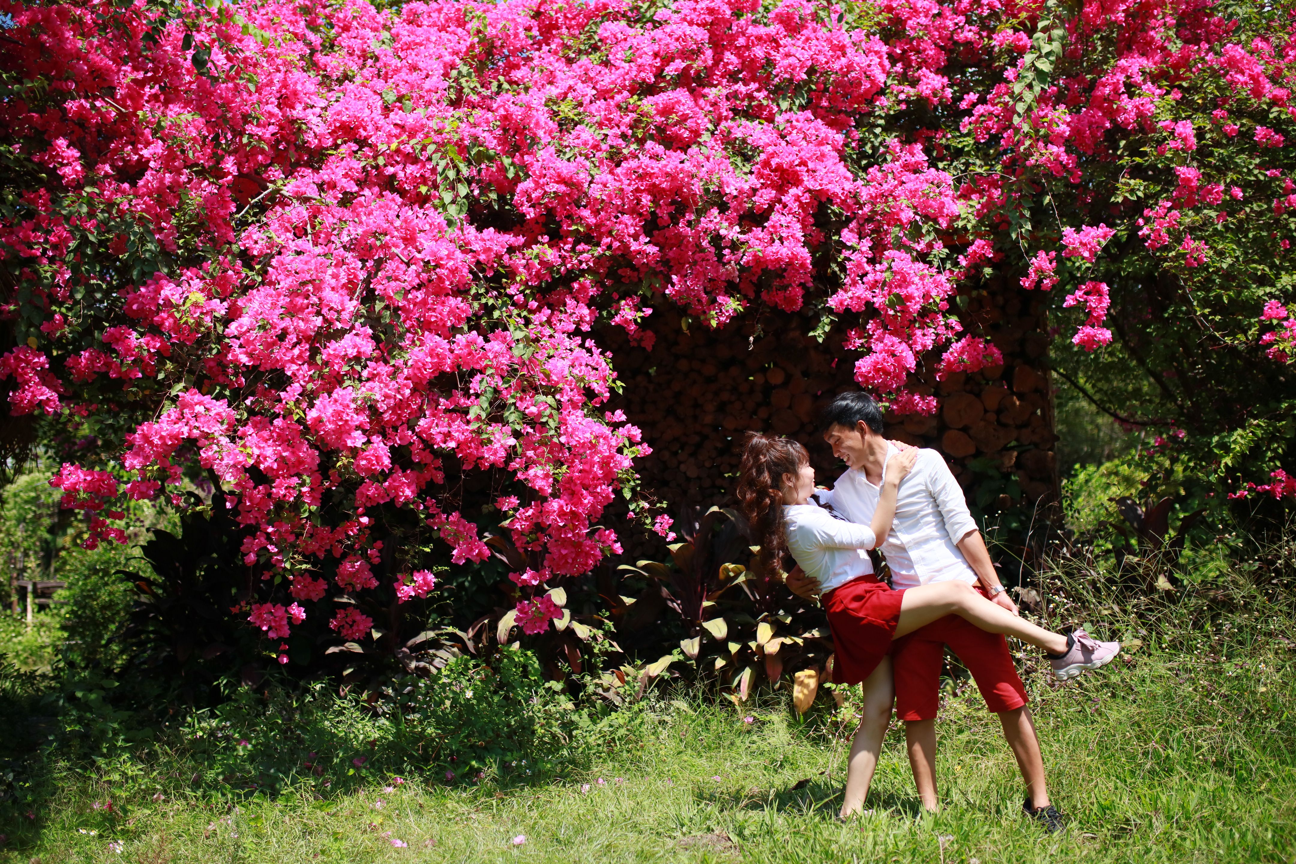 A couple in love embracing under vivid pink bougainvillea outdoors.