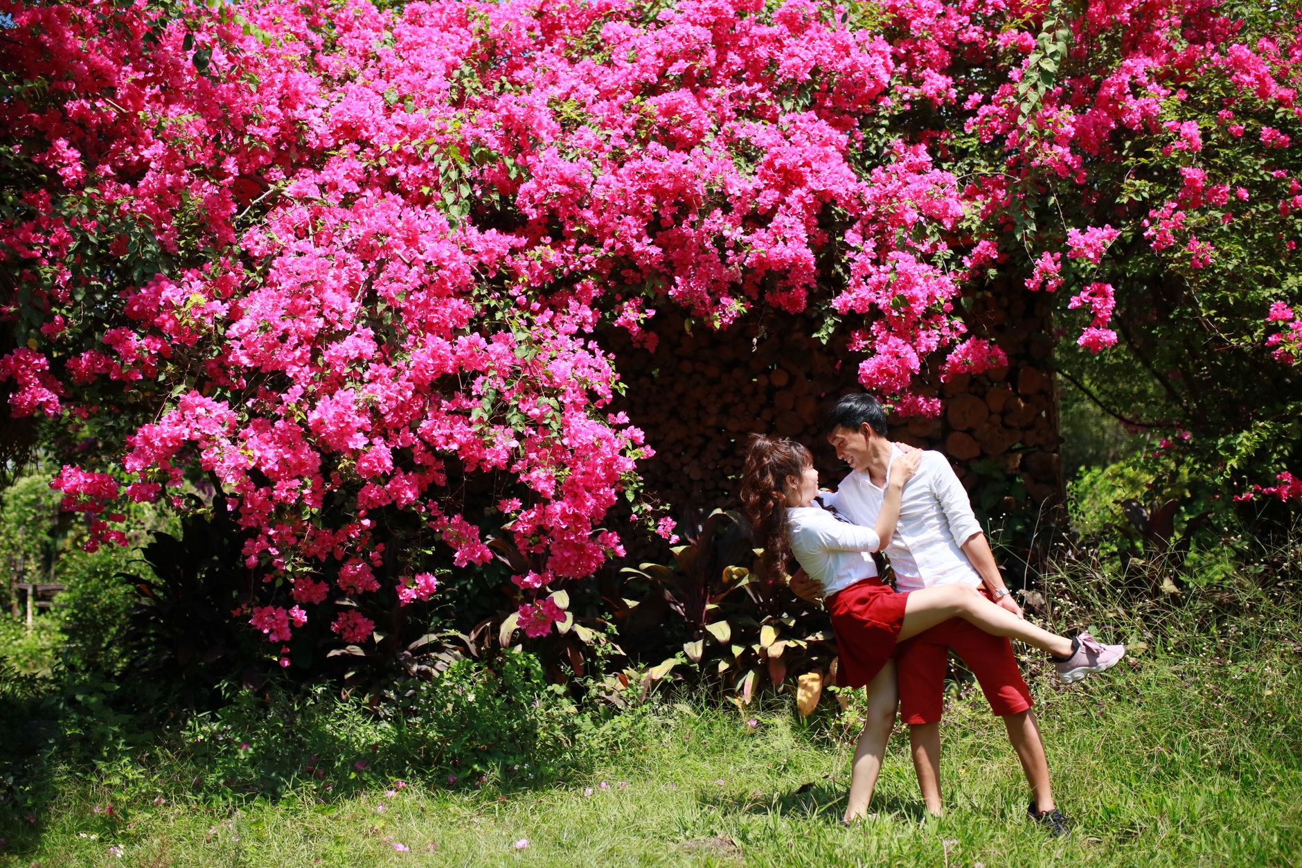A couple in love embracing under vivid pink bougainvillea outdoors.