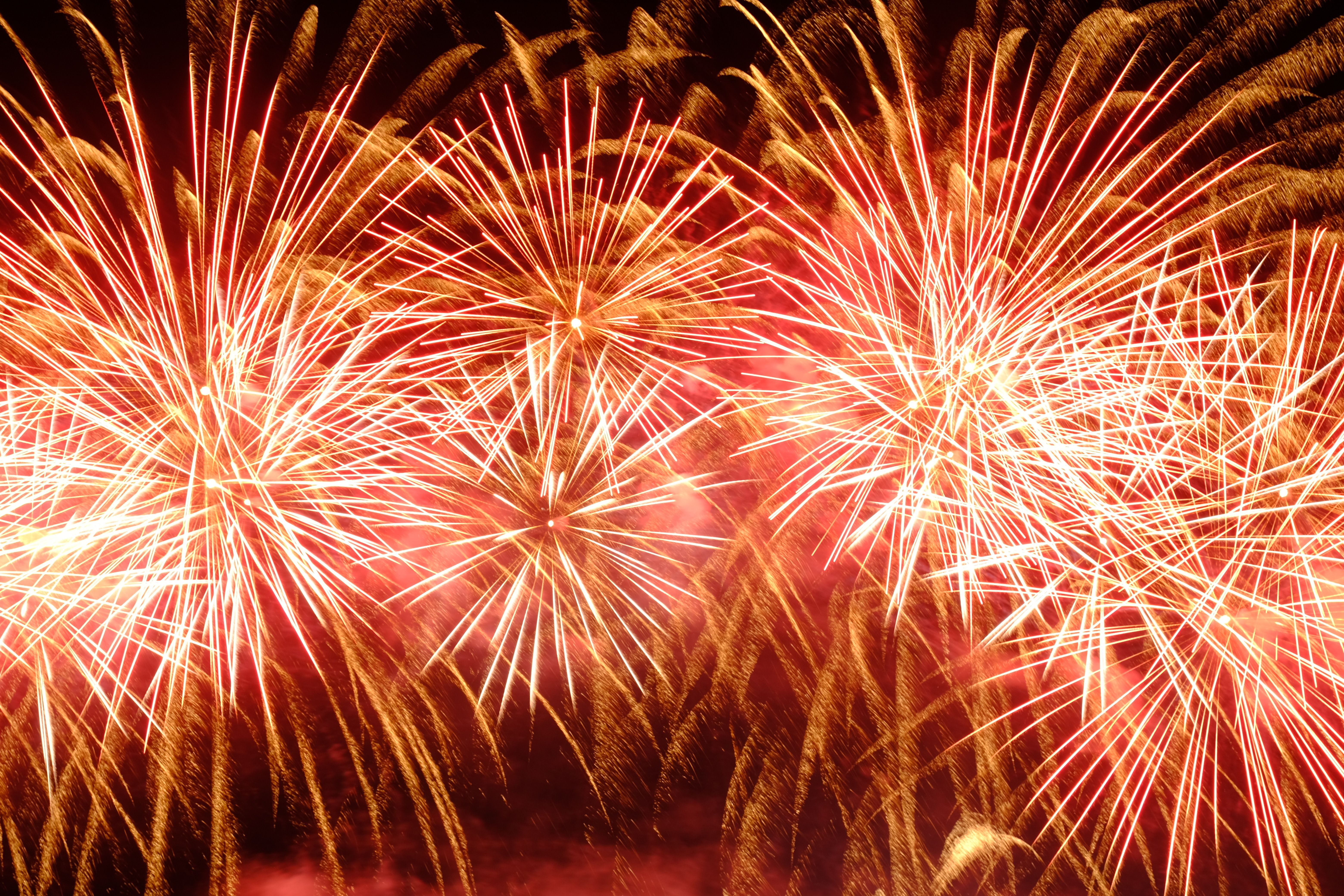 Vibrant Fireworks Display Lighting Up Night Sky · Free Stock Photo