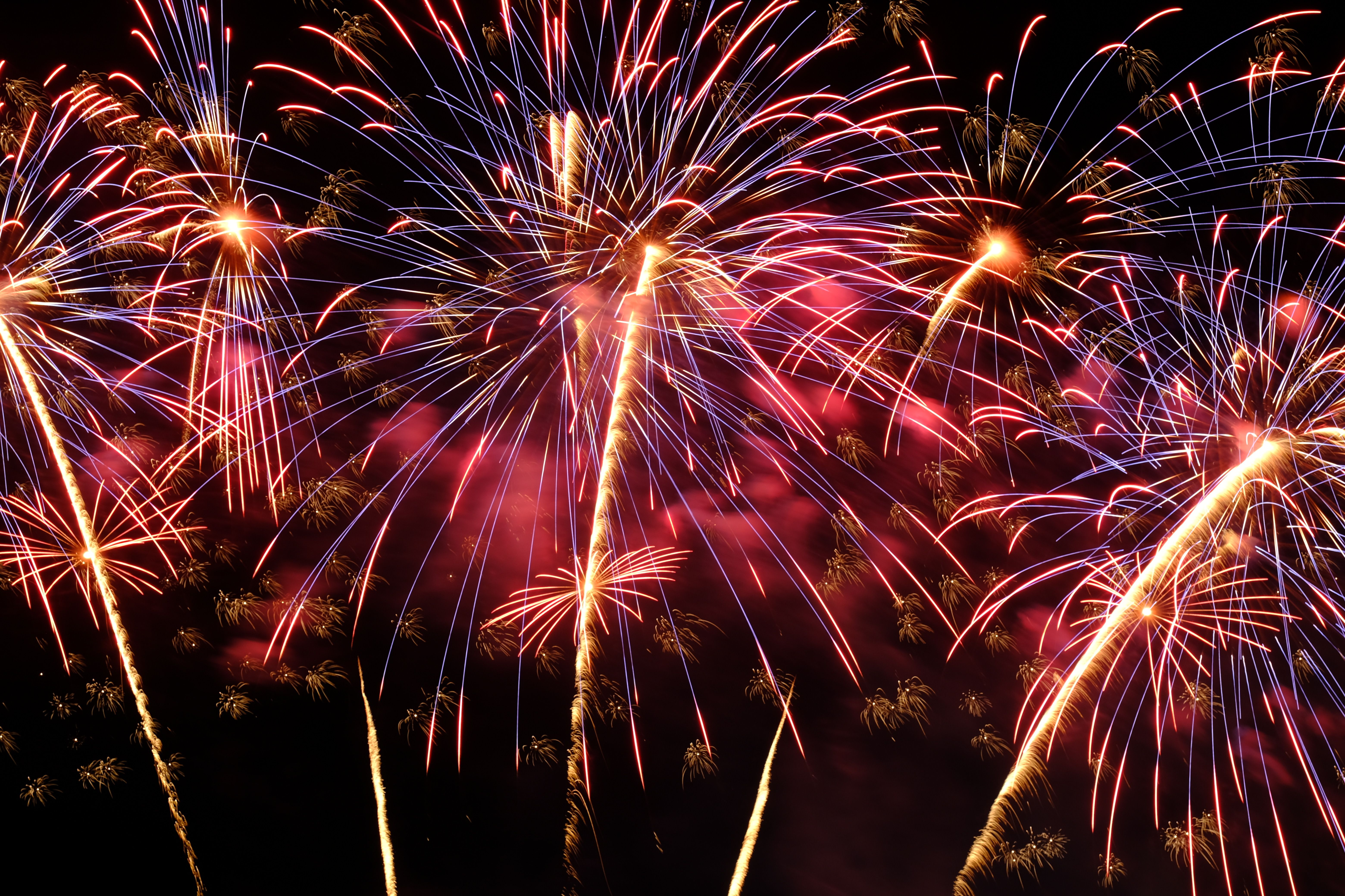 Fourth of July fireworks representing the Charleston real estate guide and America 250 edition
