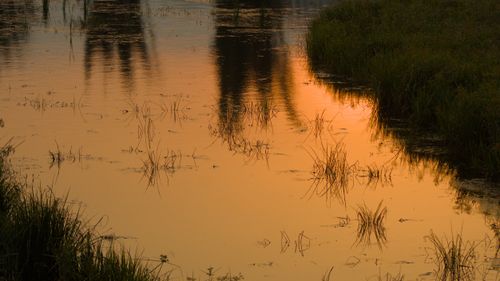 Free stock photo of atardecer, avenue, bridges Stock Photo