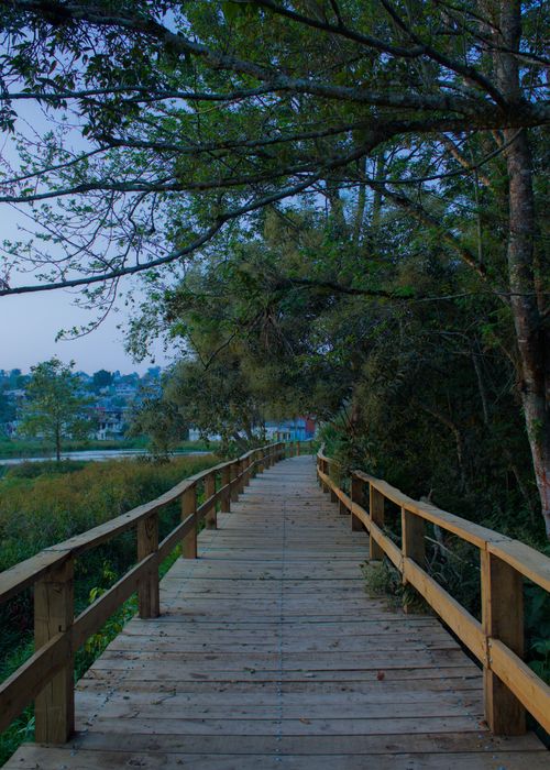 Free stock photo of atardecer, avenue, bridges Stock Photo