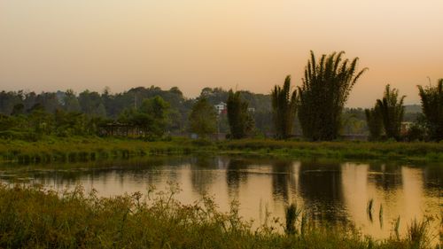 Free stock photo of atardecer, avenue, bridges Stock Photo
