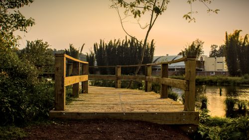 Free stock photo of atardecer, avenue, bridges Stock Photo