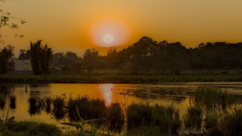 Free stock photo of atardecer, avenue, bridges Stock Photo