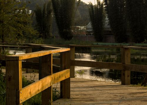 Free stock photo of atardecer, avenue, bridges Stock Photo