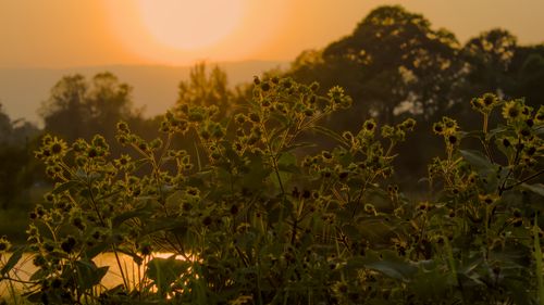 Free stock photo of atardecer, avenue, bridges Stock Photo