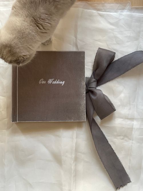 Free Elegant wedding album with gray ribbon, accompanied by a curious cat. Stock Photo