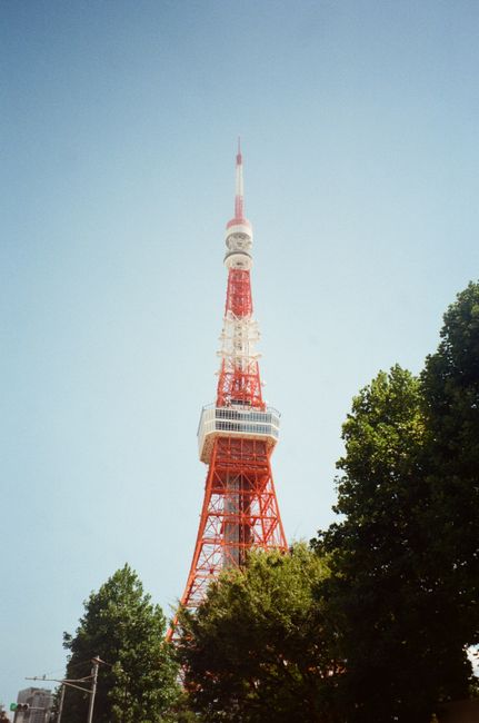 Stunning view of Tokyo Tower amidst lush greenery and clear skies in Minato City, Tokyo.