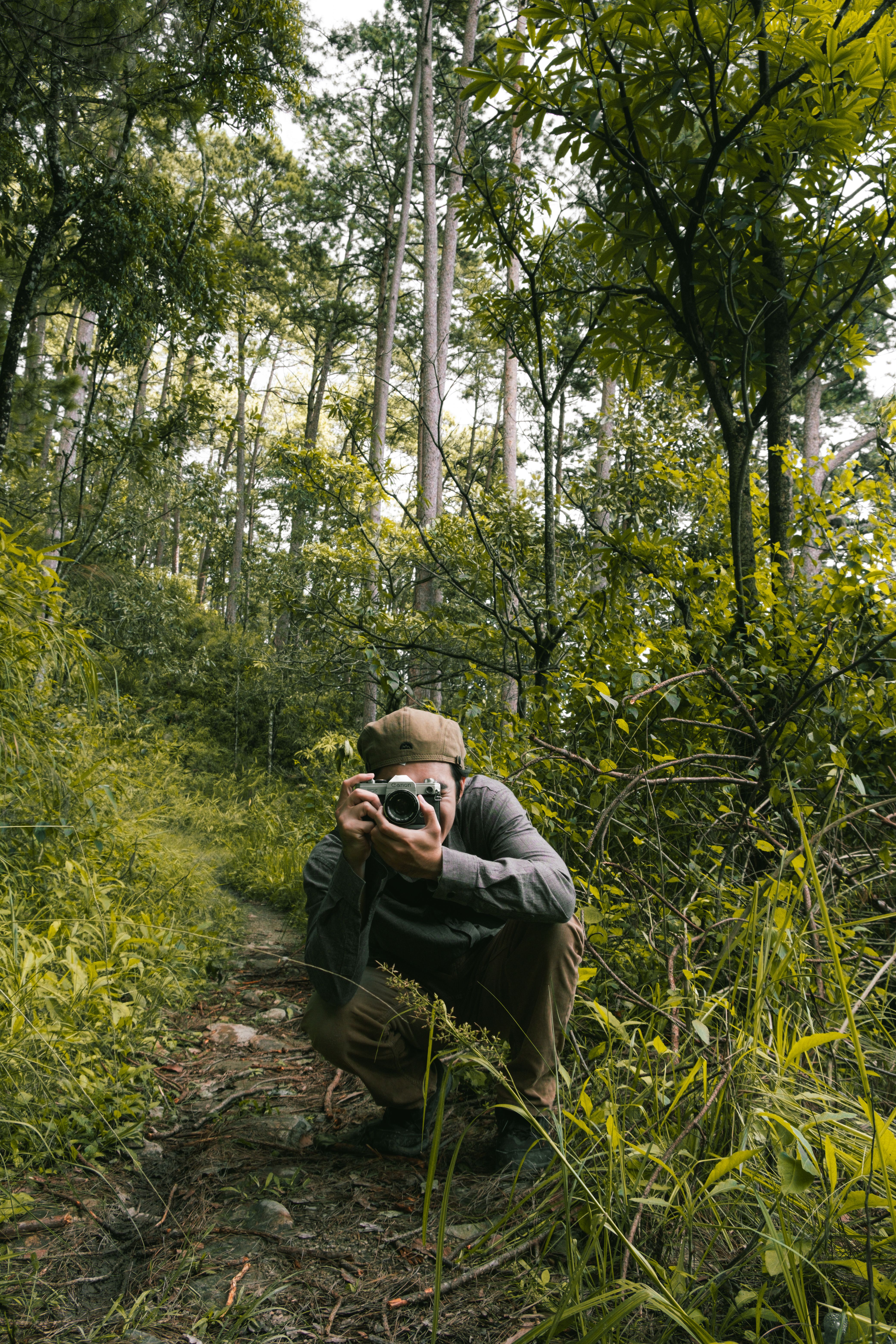 Find wildflowers that photograph cleanly along a walking trail — how do i keep wildflower photos sharp in light wind?