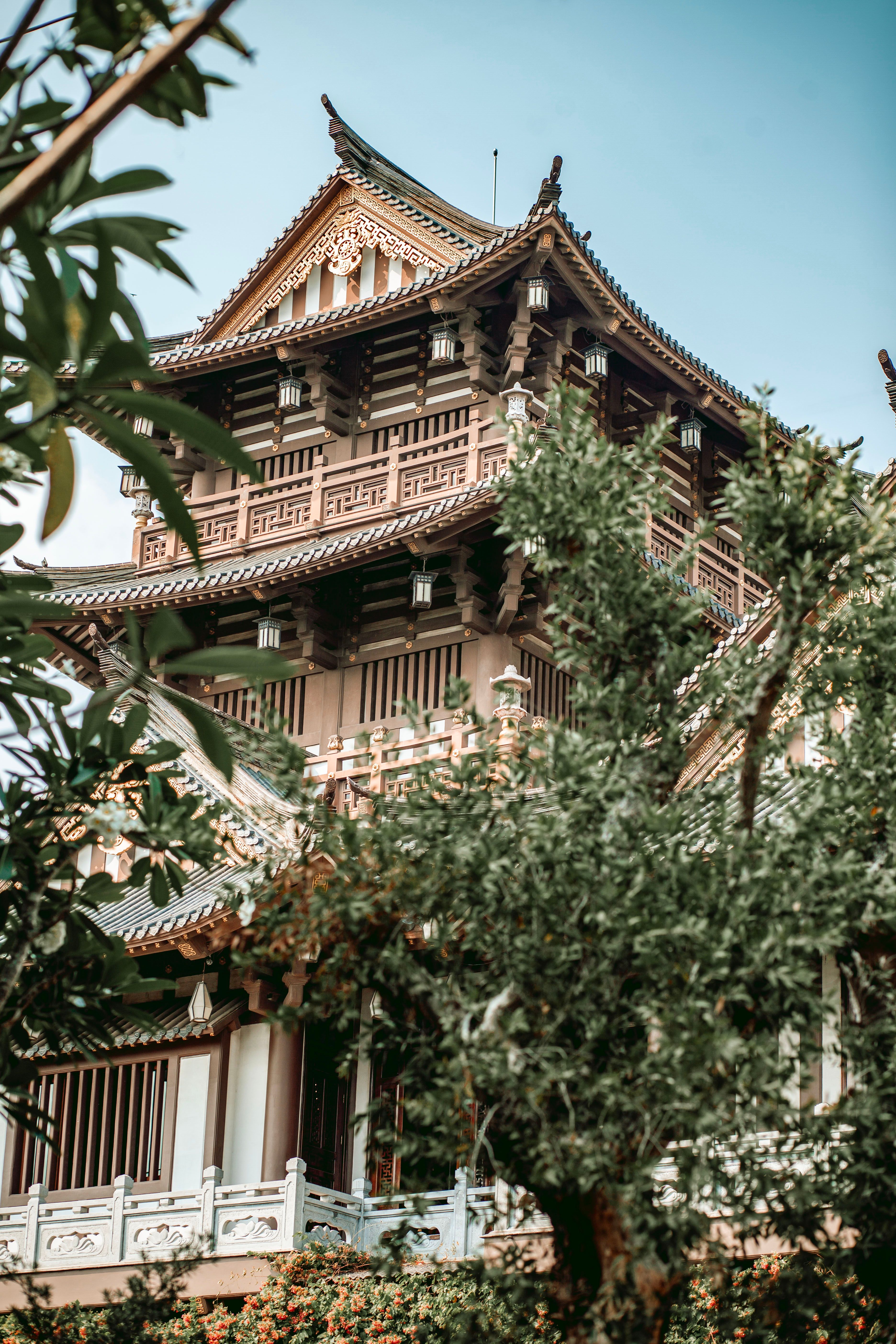 Traditional Japanese Temple Surrounded by Lush Greenery · Free Stock Photo