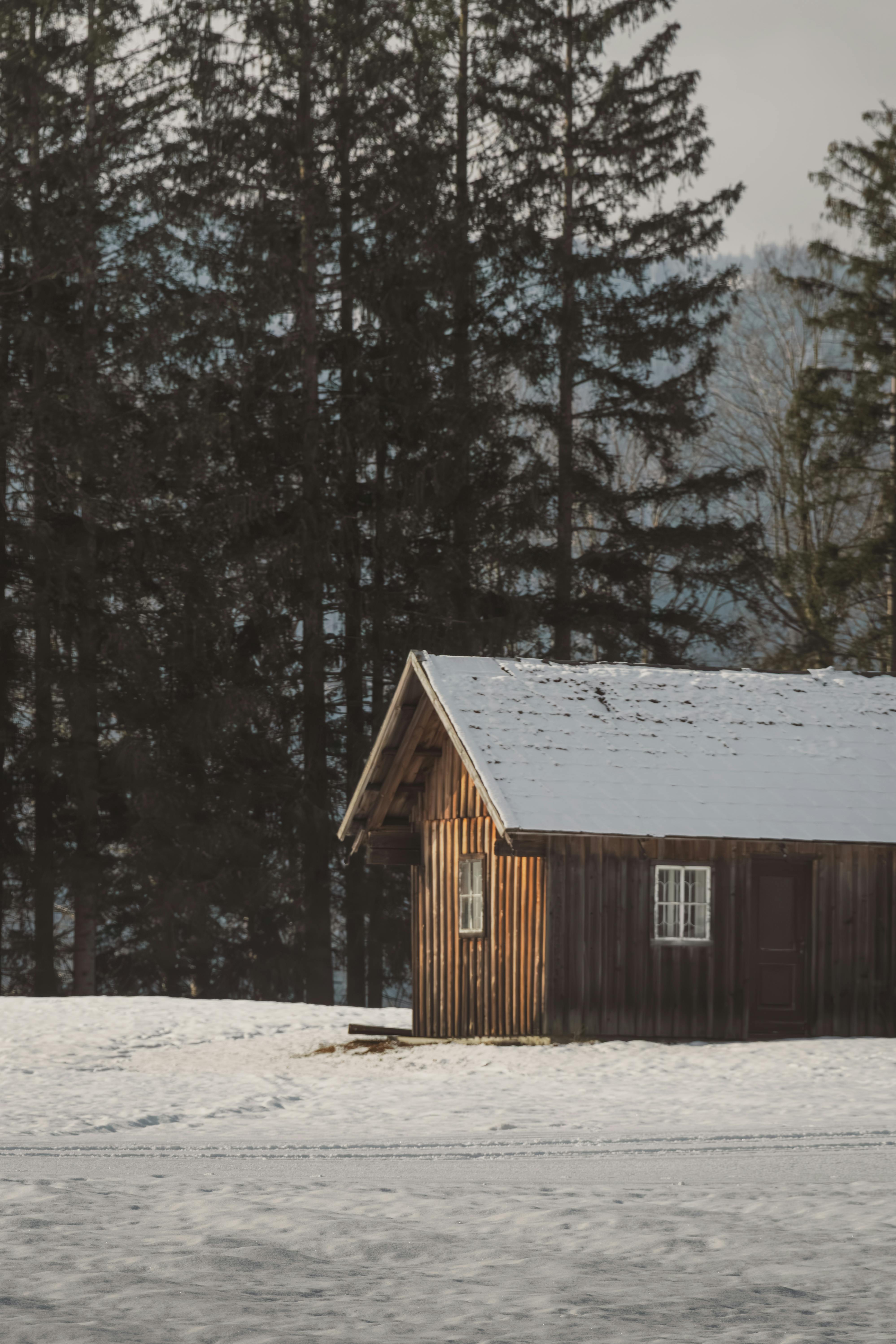Rustic Snowy Cabin in Winter Forest · Free Stock Photo