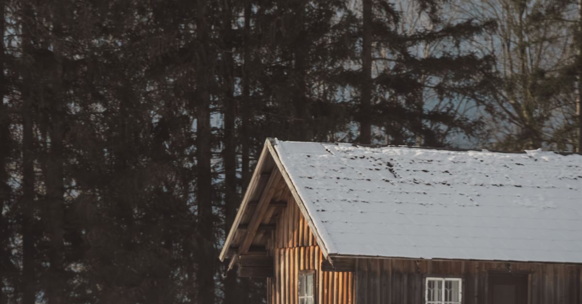 Rustic Snowy Cabin in Winter Forest · Free Stock Photo