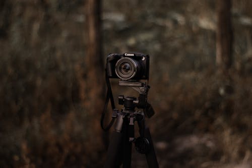 Ingyenes stockfotó canon, digitális kamera, dslr fényképezőgép témában