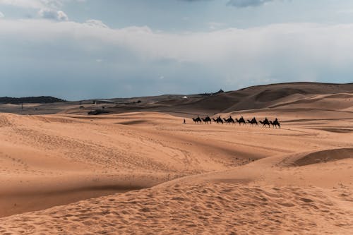bezplatná Základová fotografie zdarma na téma dobrodružství, duny, písečné duny Základová fotografie