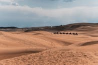 在明亮的天空下，一队骆驼穿越了蒙古广阔的沙丘