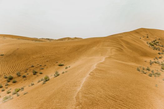 探索蒙古干旱沙漠中广阔而阳光明媚的沙丘景观