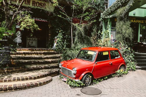 Foto Von Red Mini Cooper In Der Nähe Von Pflanzen Geparkt