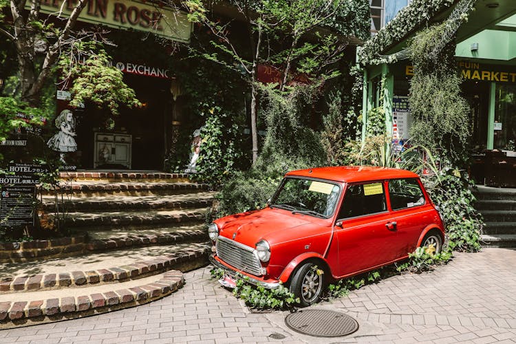 Photo Of Red Mini Cooper Parked Near Plants