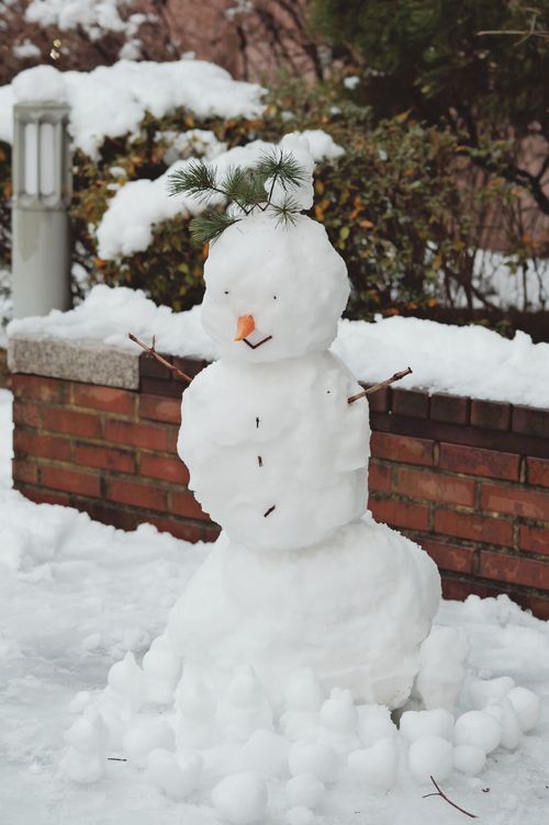 Free Charming snowman adorned with pine twig hair in a snowy garden. Perfect for winter and holiday themes. Stock Photo