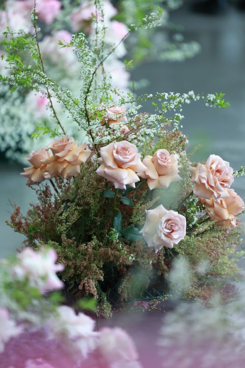 Free Soft pink roses in an elegant bouquet arrangement, evoking a serene and romantic atmosphere. Stock Photo