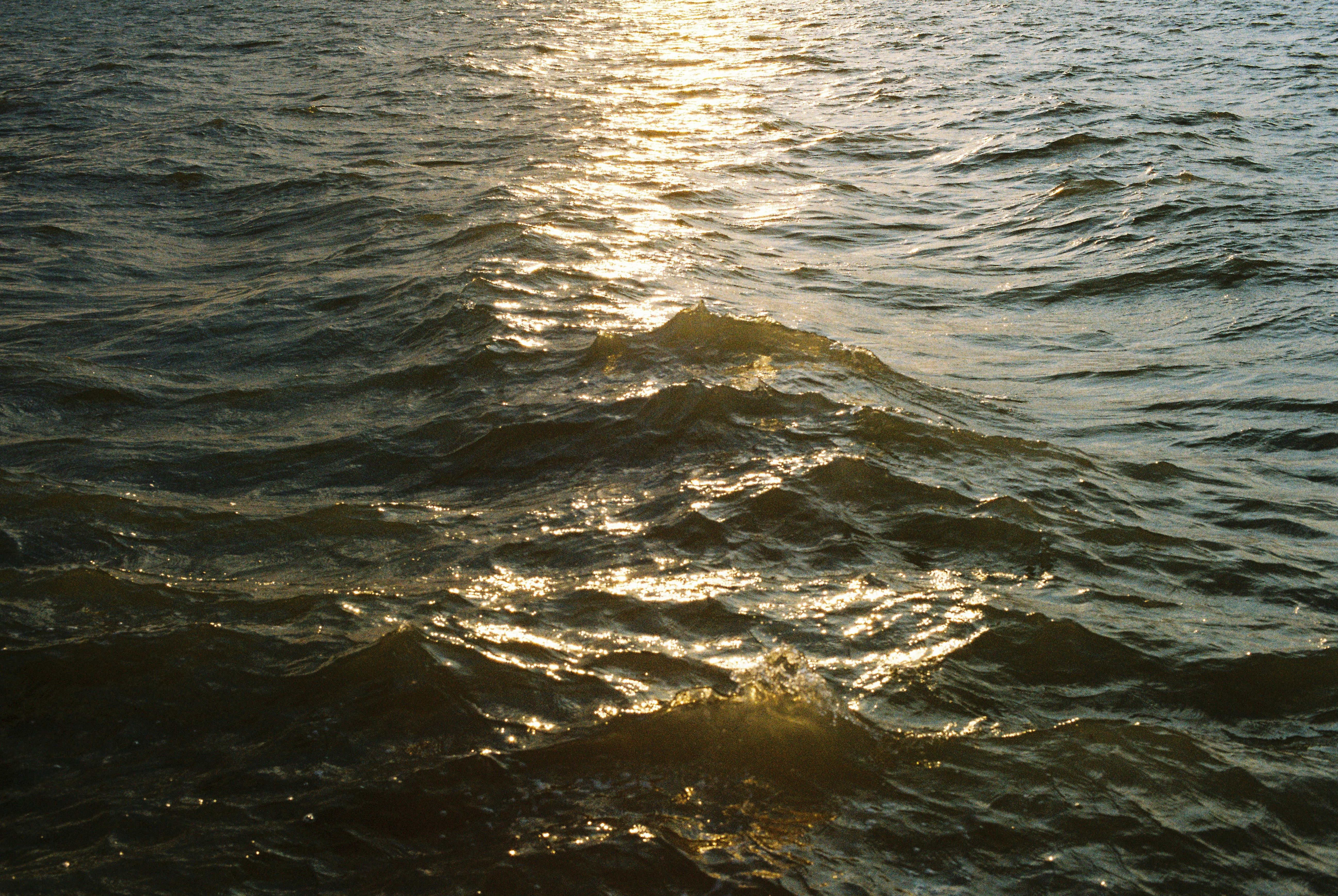 Golden Sunlight Reflecting on Ocean Waves · Free Stock Photo