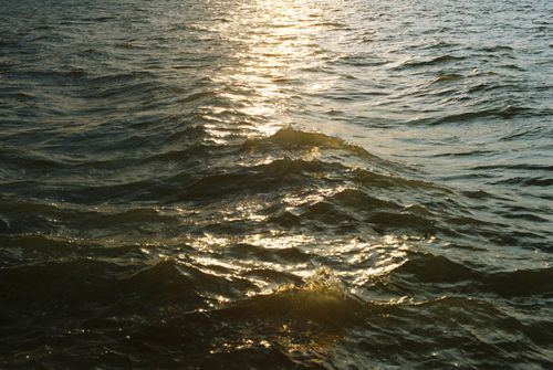 Free A serene view of ocean waves shimmering under golden sunlight at sunset. Stock Photo