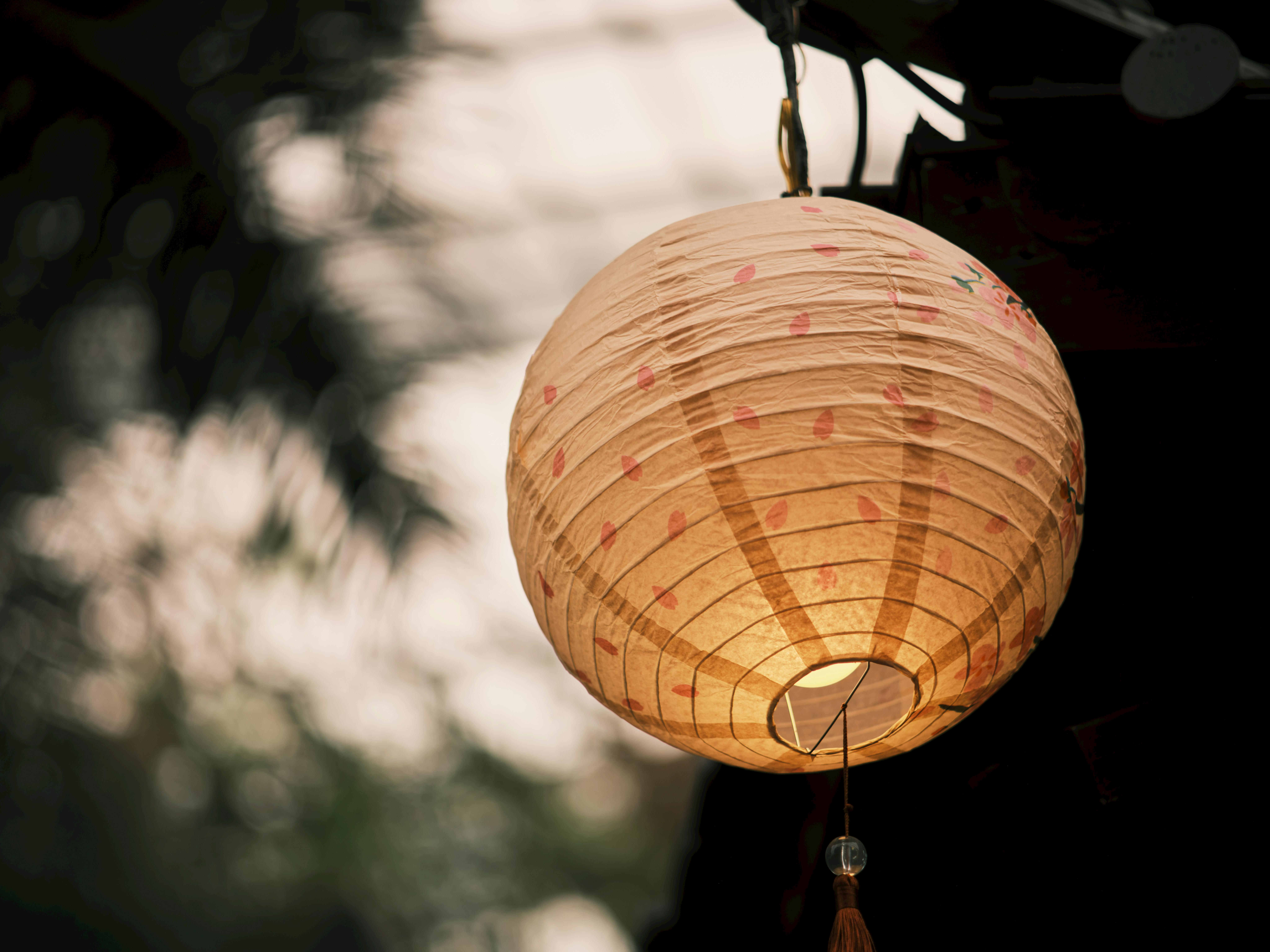 A delicate paper lantern softly illuminated, hanging in an outdoor setting.
