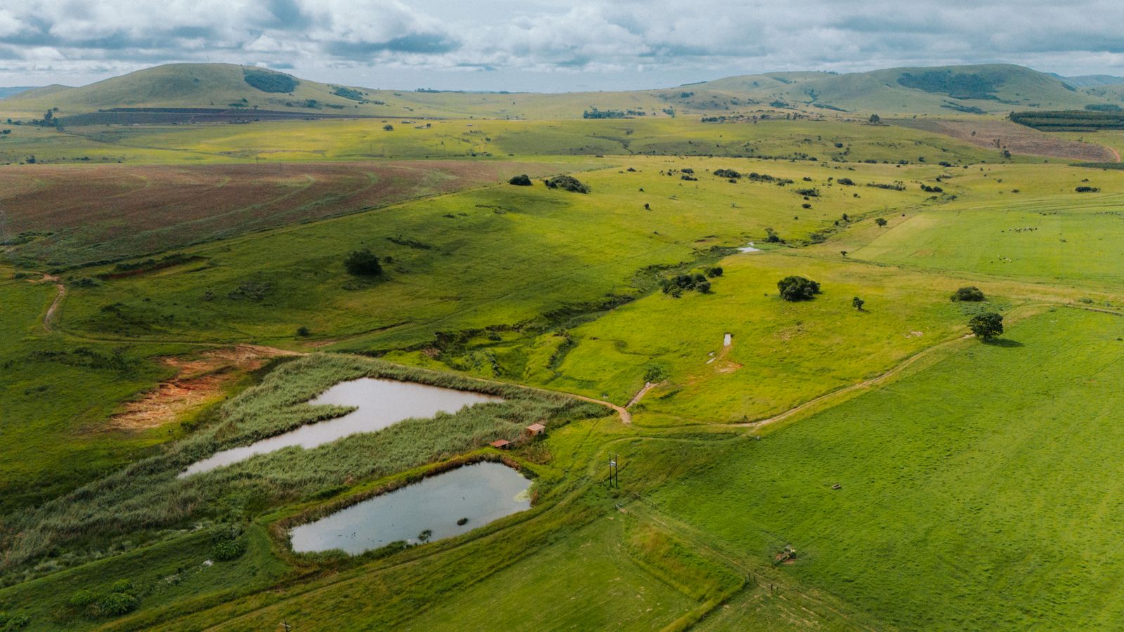 Lush green landscape of piet retief, Zambia