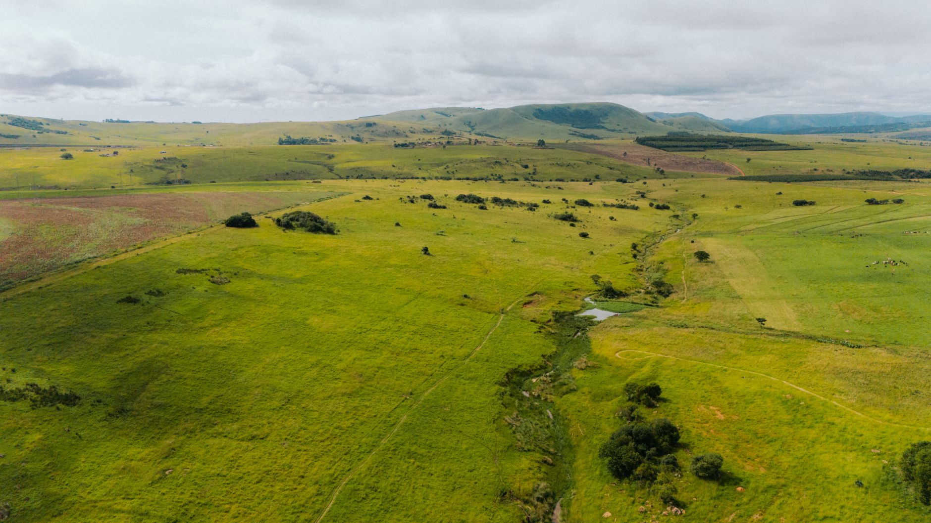 A scenic aerial view of the lush green fields in Piet Retief, South Africa.