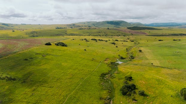 Piets-Plasence-Moustrou