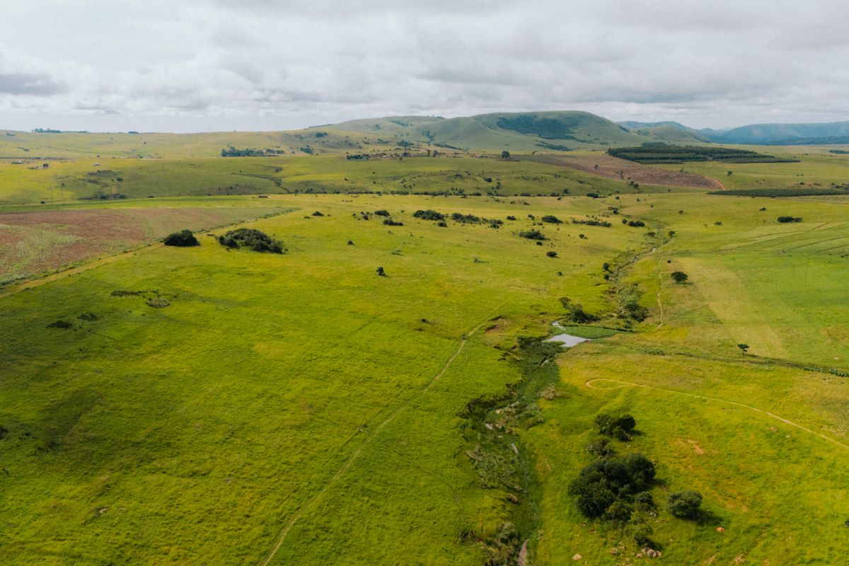 Cederberg